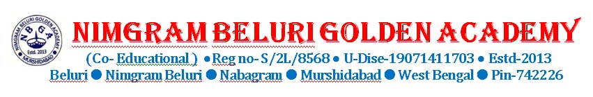 NIMGRAM BELURI GOLDEN ACADEMY